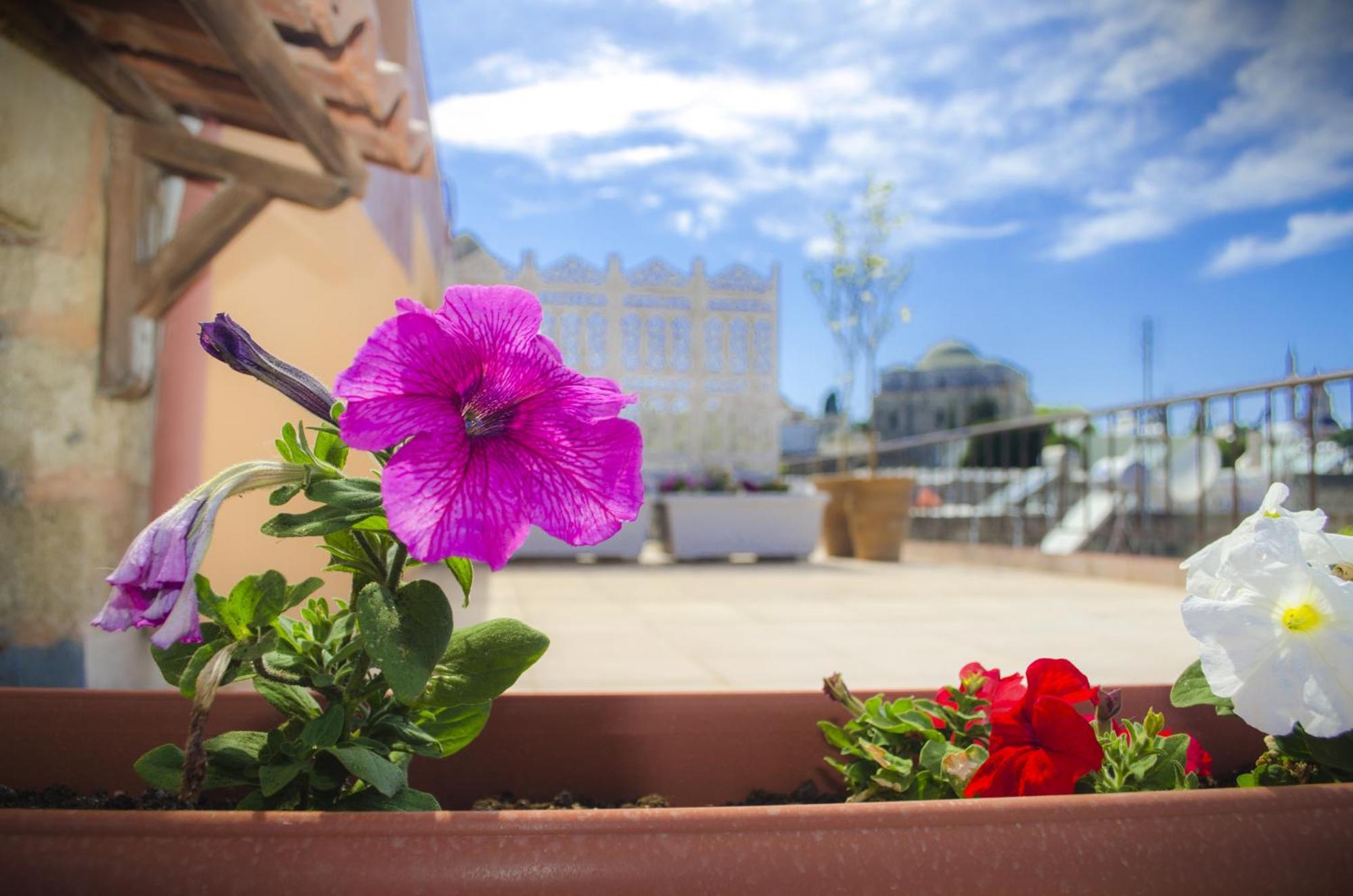 Petrino Aparthotel Rhodes City ห้อง รูปภาพ